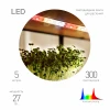FITO-Strip Light-Rа90-300LED-5m-12V-IP65 Светодиодная лента для растений 12V 5м ЭРА FITO-Strip Light-Rа90-300LED-5m-12V-IP65