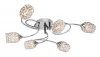 218.54.6 Потолочная люстра Silver Light Carmen 218.54.6