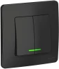BLNVS010516 Выключатель встраиваемый двухклавишный с подсветкой (антрацит) Systeme Electric Blanca BLNVS010516