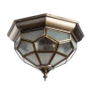 A7833PL-2AB Потолочный светильник Arte Lamp Copperland A7833PL-2AB
