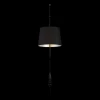 494010301 Подвесной светильник MW-Light Райне 494010301