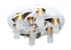 OML-17617-09 Потолочный светильник Omnilux Conflent OML-17617-09