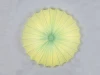 SL351.122.08 Потолочный светильник ST Luce SL351 SL351.122.08