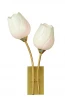 A8292AP-2PB Бра Arte Lamp Tulip A8292AP-2PB