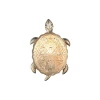 2256-1W Настенный светильник Favourite Turtle 2256-1W