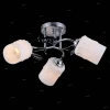 11459/3C CHROME Natali Kovaltseva 11459/3C CHROME