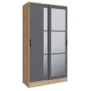 00-00220956 Шкаф ТЭКС-купе Стиль-2 120, Дуб Крафт Золотой, Графит серый
