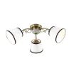 3451/3C Потолочная люстра Lumion Ulali 3451/3C