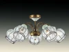 2535/5C Потолочная люстра Odeon Light Ohio 2535/5C