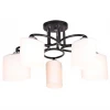 MD.0617-5-S BK Потолочная люстра Imex MD.0617-5-S BK
