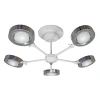 S9199-5 Потолочная люстра Day&Night S9199-5