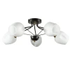 A2706PL-5CK Потолочная люстра Arte Lamp Brighton A2706PL-5CK