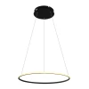 A2500SP-1BK Подвесной светильник Arte Lamp Rapid A2500SP-1BK
