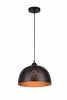 A1630SP-1BK Подвесной светильник Arte Lamp Buchino A1630SP-1BK
