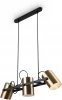 FR4005PL-03BBS Подвесной светильник Freya Elori FR4005PL-03BBS (220V, на проводе)