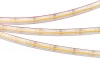 031910 Светодиодная лента Arlight COB 031910