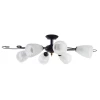 A7310PL-6BR Потолочная люстра Arte Lamp Milanese A7310PL-6BR
