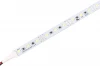 024350 Светодиодная лента Arlight ARL 024350