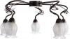 A7449PL-5BR Потолочная люстра Arte Lamp Glamore A7449PL-5BR