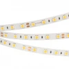 008829(3) Светодиодная лента RT-B60-10mm 24V White6000 (14.4 W/m, IP20, 5m) (Arlight, 14.4 Вт/м, IP20) 008829(3)
