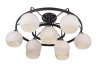 A7148PL-9CK Потолочная люстра Arte Lamp Empoli A7148PL-9CK