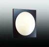 2763/1C Настенно-потолочный светильник Odeon Light Brido 2763/1C
