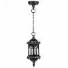 89905S Bl Уличный светильник подвесной Oasis Light 89905S Bl