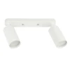 DLC-S620 GU10x2 WHITE Спот накладной Fametto Sotto DLC-S620 GU10x2 WHITE