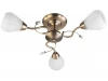 TL3570X-03AB Потолочная люстра Toplight Lorin TL3570X-03AB