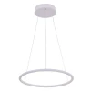 A2500SP-1WH Подвесной светильник Arte Lamp Rapid A2500SP-1WH