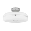 CL250001 Потолочная люстра Citilux Torus CL250001