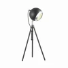 3383/1T Интерьерная настольная лампа Odeon Light Eseo 3383/1T