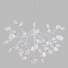 EVITA SP63 WHITE/TRANSPARENT Crystal Lux Evita SP63 WHITE/TRANSPARENT