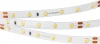 021408 Светодиодная лента Arlight RT 2-5000 021408