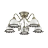 3458/5C Потолочная люстра Lumion Clovissa 3458/5C