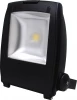 HL173L (068-002-0050) Прожектор уличный светодиодный Horoz, 1 плафон, черный с хромом и прозрачным