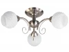 TL3560X-03SN Потолочная люстра Toplight Dana TL3560X-03SN