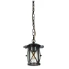 L12111.88 Подвесной светильник L'Arte Luce Fabrizia L12111.88