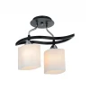 859/2PF-Dark Потолочная люстра IDLamp Gabriella 859/2PF-Dark