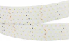 019082(B) Светодиодная лента RT 2-2500 24V White6000 5x2 (2835, 875 LED, LUX) (Arlight, 36 Вт/м, IP20) 019082(B)