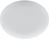 41568 Настенно-потолочный светильник Feron AL509 41568 (LED, 220V, круглые)