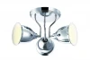 A9557PL-3CC Потолочная люстра Arte Lamp Campana A9557PL-3CC