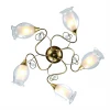 A9289PL-5GO Потолочная люстра Arte Lamp Mughetto A9289PL-5GO