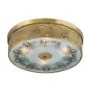 2782/4C Потолочный светильник Odeon Light Aster 2782/4C