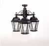 91470MA/3 Bl овал Потолочный светильник уличный Oasis Light ASTORIA 2M 91470MA/3 Bl овал (220V, IP44)