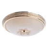 A9205PL-5GO Потолочный светильник Arte Lamp Vassoio A9205PL-5GO