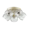 3116/5CA Потолочная люстра Lumion Clodina 3116/5CA
