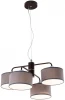 CL428241 Люстра подвесная Форма CL428241 (220V, на тросе)