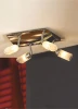LSL-5091-04 Потолочный светильник Lussole Rasen LSL-5091-04