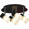 LSQ-6101-04 Потолочный светильник Lussole Siliqua LSQ-6101-04